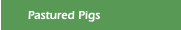 Pastured Pigs